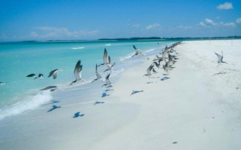 Paradise Found - Private Oasis With Heated Pool On Marco Island Hotell Exteriör bild